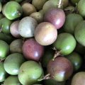 Fresh Passion Fruit