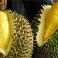 Fresh Durian