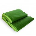 Frozen Banana leaf