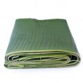 Frozen Banana leaf