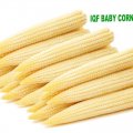 IQF Baby Corn