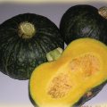 Pumpkin