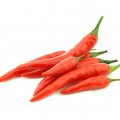 Fresh Chilli