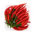 Fresh Chilli
