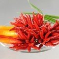 Fresh Chilli