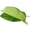 Frozen Dong Leaf