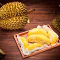 Fresh Durian