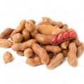Frozen Boiled Peanuts