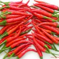 Fresh Chilli
