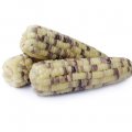 Frozen Rainbow Corn