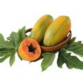 Fresh Papaya 