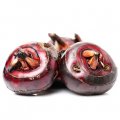 Frozen Water Chestnut (Whole)