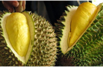 HEALTH BENEFITS OF DURIAN FRUIT FOR BEAUTY (SKIN AND EYE)