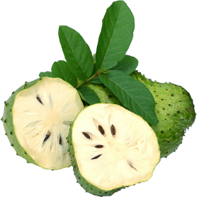 IQF Soursop