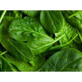 Spinach