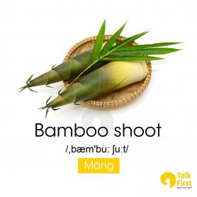 IQF Bamboo Shoot
