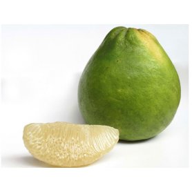 Fresh Grapefruit 