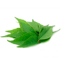 Frozen Curry Leaf