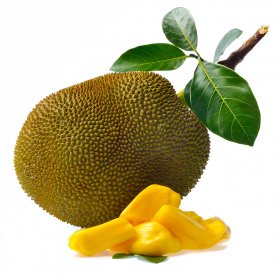 Fresh Jackfruit