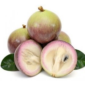Fresh Star Apple
