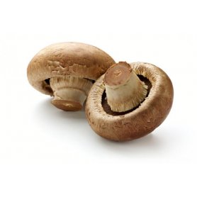 Fresh Mushroom