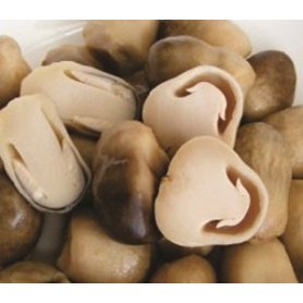 IQF Mushrooms
