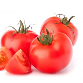 Fresh Tomato
