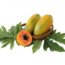 Fresh Papaya 