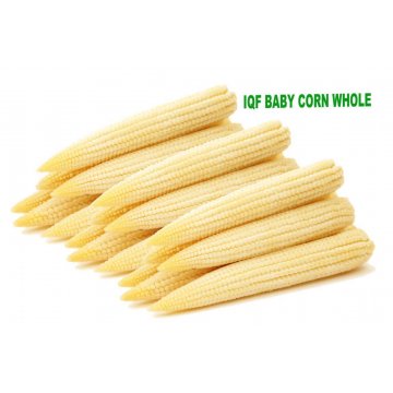 IQF Baby Corn