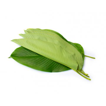 Frozen Dong Leaf