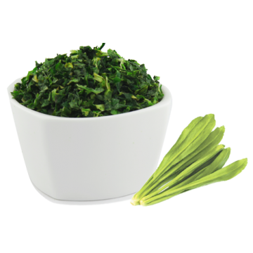 AD Cilantro