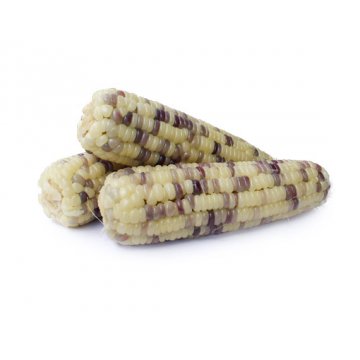 Frozen Rainbow Corn